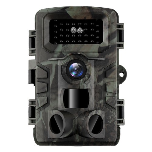 Uhd trail wildlife - wildlife, camera
