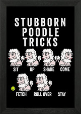 Stubborn poodle tricks framed - stubborn,