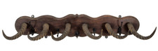 Taxidermy Animal Furniture Victorian Horn Mounted Coat Rack African Kob Antelope
