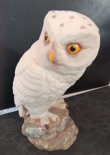 Aynsely snowy owl matte - snowy,