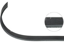 V-Ribbed Belt for Mercedes C M