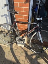 Focus Cayo Carbon Road Bike