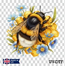 Floral bee honey - bee, uv