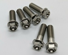 Yamaha R1 Titanium brake