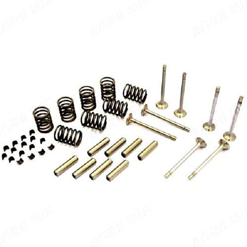 Valve train kit for massey - valve,