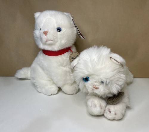 Bundle white cat kitten - of, 2
