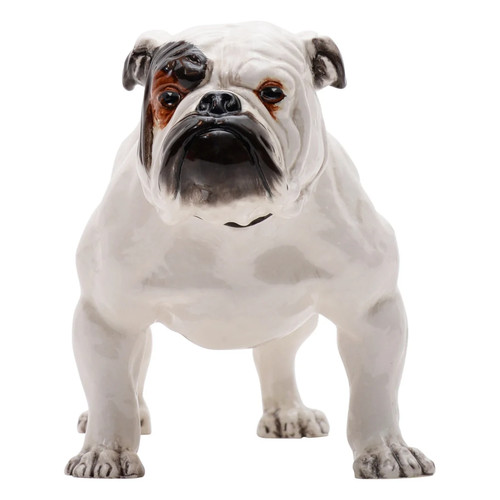 Bulldog white with brown spot - white,