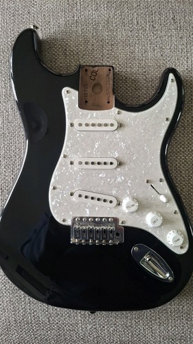 Fender stratocaster standard - fender,