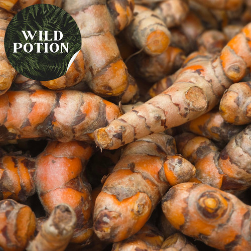 Fresh turmeric root 500g - fresh,