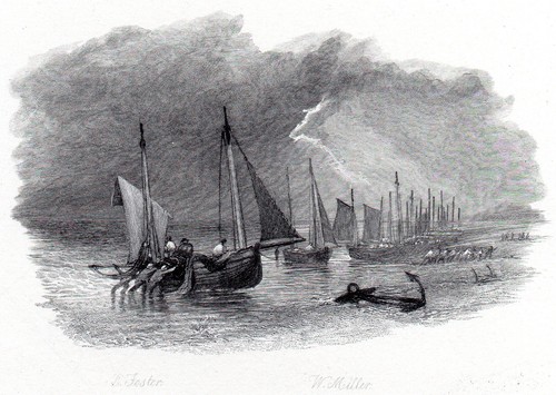 Storm hastings 1881 myles - storm,