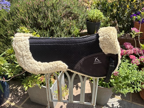 Premier equine sheep skin - equine,