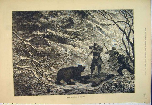 Bear shooting russia man gun - shooting,
