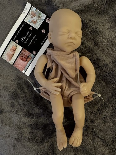 Reborn kit blossom - by, jade
