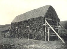 FARMING. McAinsh-Robertson