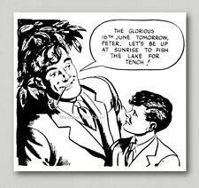 Fridge Magnet Mr Crabtree Fish