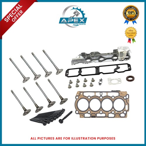 Cylinder head gasket engine - cylinder,