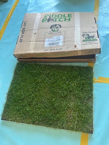Real grass puppy - real,