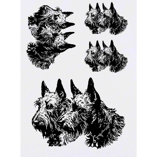 Scottish terrier couple - 4, x