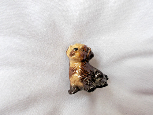 Wade dog shown - as,
