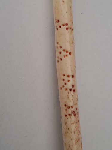 Antique bone lace - lace, with