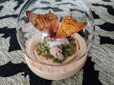 Butterfly in Glass Dome