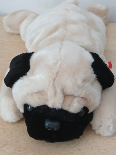 Beanie buddy pugsly - beanie,