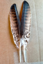 Fly tying / Native crafts /