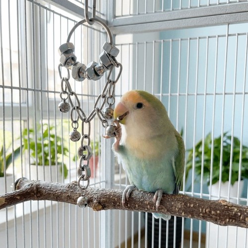 Bite resistant bird - resistant, chain