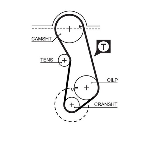 Gates timing belt - timing, cambelt