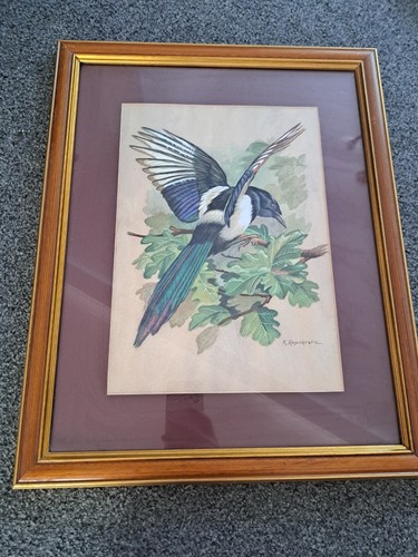 Original magpie watercolour - original,