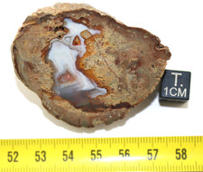 Lithophysis of the Esterel