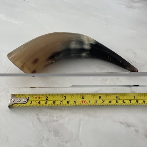 Polished cow horn natural - horn,