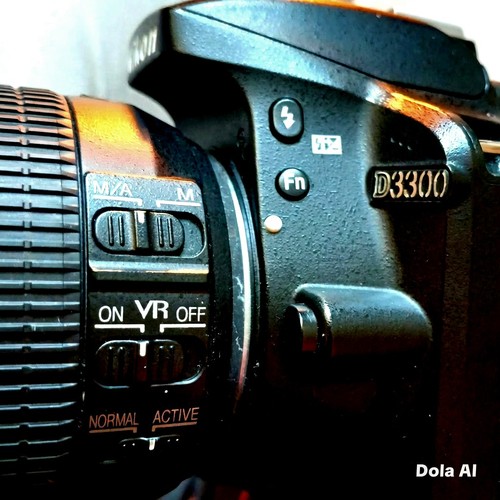 Bargain nikon d3300 mp - d3300,
