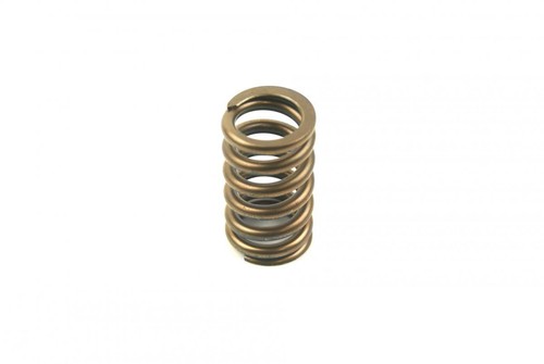Inlet valve spring - inlet,