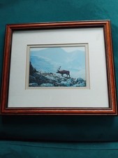 Julian Friers Framed Scottish Highland Stag Print