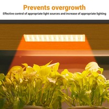 Under cabinet plant grow light - cabinet,