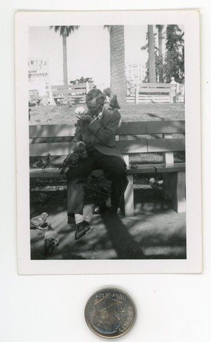 Vintage 1940 bird photo - 1940's, /