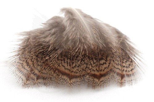 Brown back hackles - brown, from