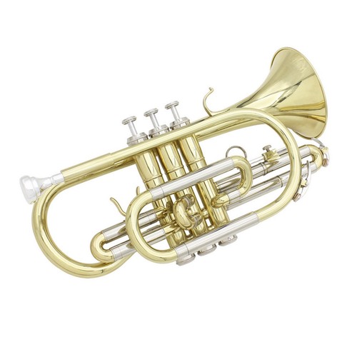 Cornet kit gold and silver - cornet, gold-and-silver