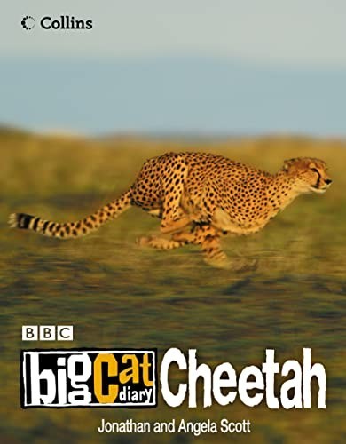 Big cat diary cheetah scott - cat,