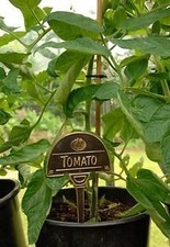 Garden Herb & Vegetables Signs