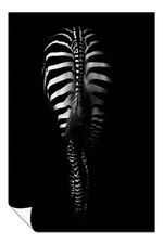 Black & White Zebra Behind Tail Artistic Poster Wall Art Home Decor