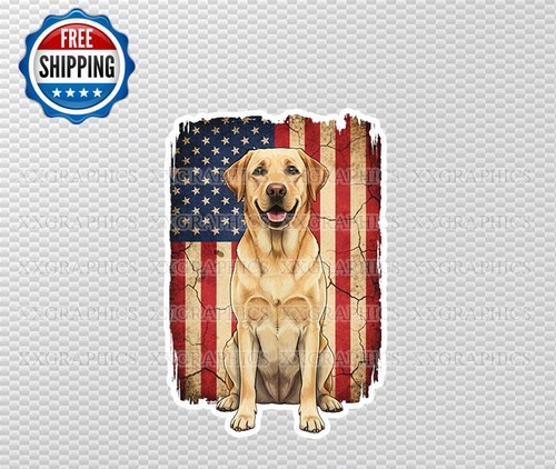 Labrador dog distressed - labrador,