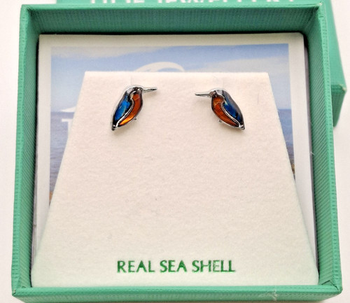 Kingfisher bird stud earrings - bird,