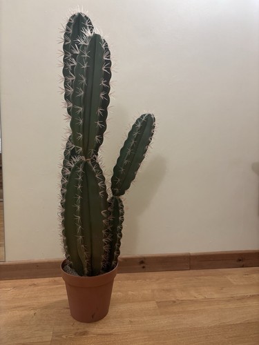 Huge artificial cactus - artificial, and