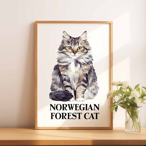 Norwegian forest cat - a5,