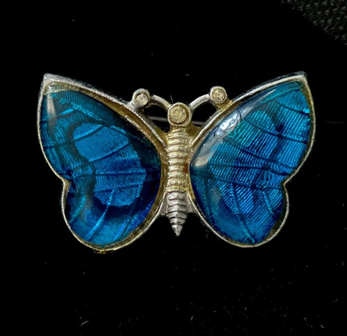 1950s vintage blue butterfly - 1950s,