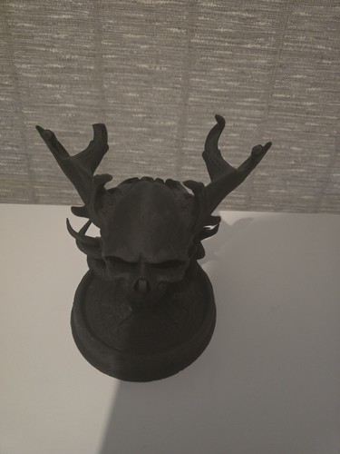 Home made skull - home,