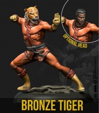 Bronze Tiger Knight Models