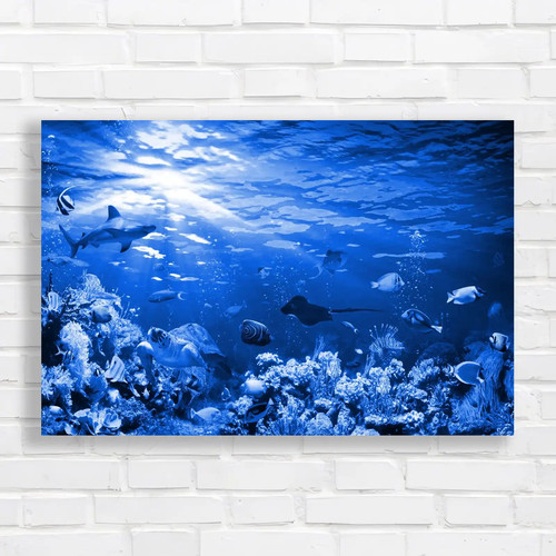 Explore the enchanting - explore,